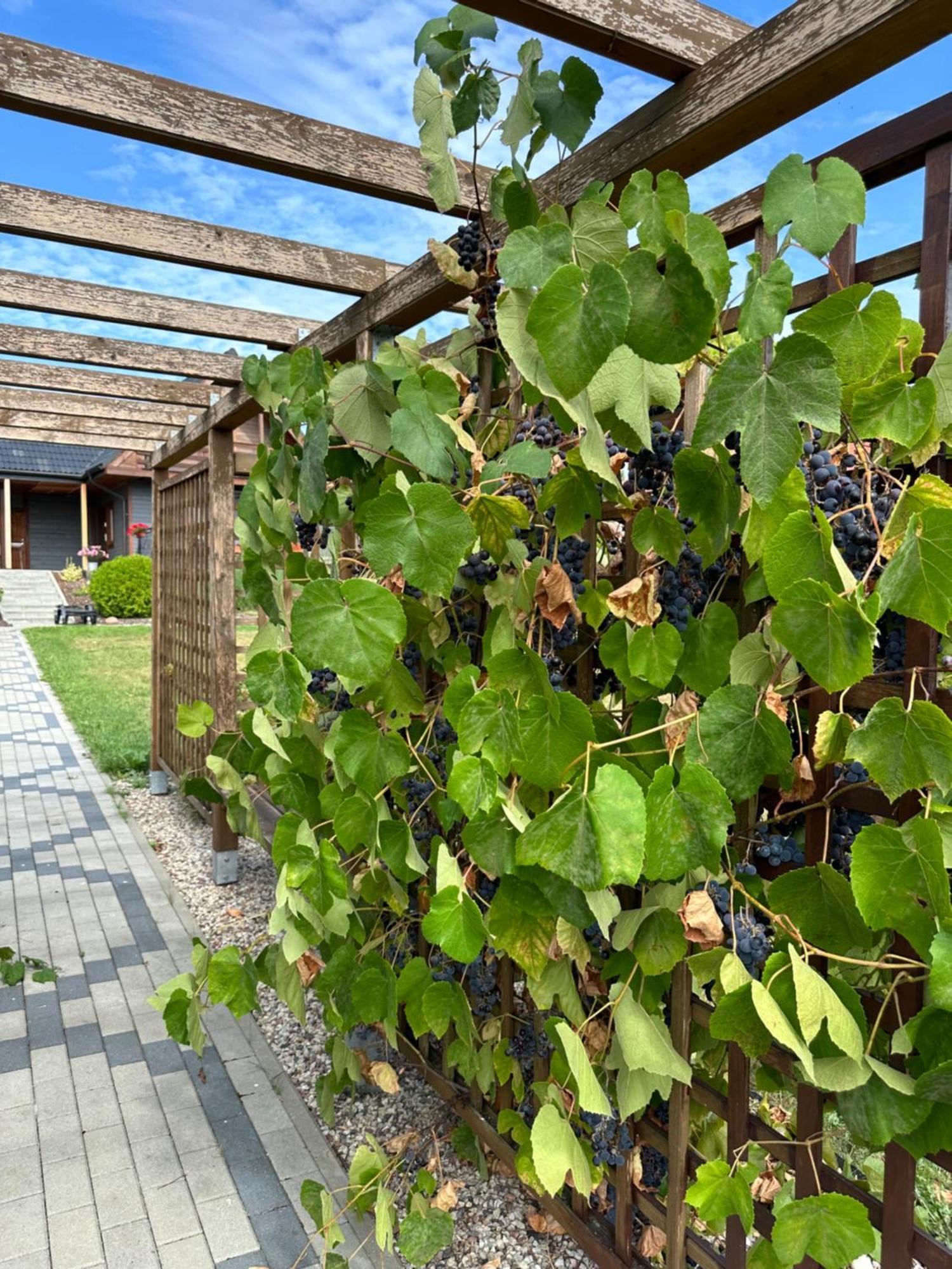 Rajska Przystan II Villa Wrony Exterior photo
